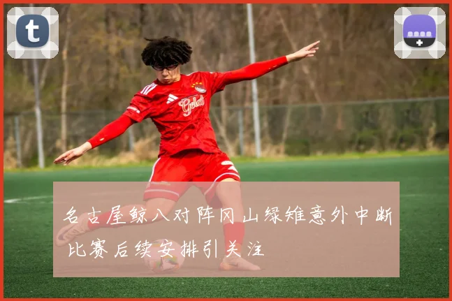 名古屋鲸八对阵冈山绿雉意外中断 比赛后续安排引关注