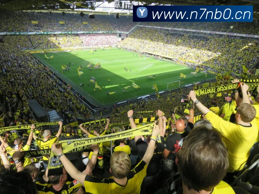 多媒体互动体验